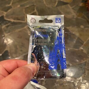Disney Hidden Mickey One Unopened Pin Pack Pouch 2025 Two Pins Walt Disney BNWT